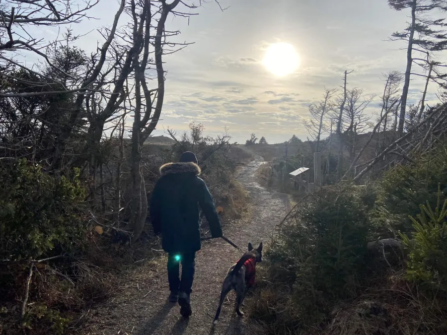 Walking with Poe along a Cape Breton trail